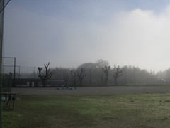 霧のグランド