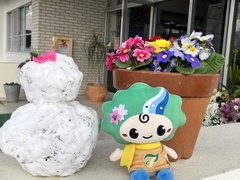 雪１