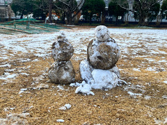 雪６
