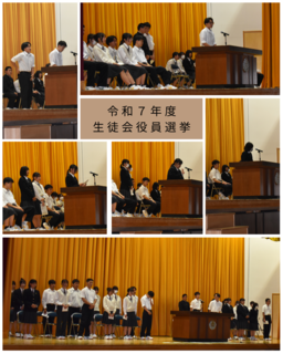 生徒会役員選挙