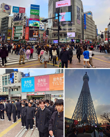 修学旅行 修学旅行