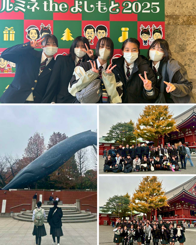 修学旅行 修学旅行