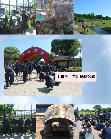 遠足