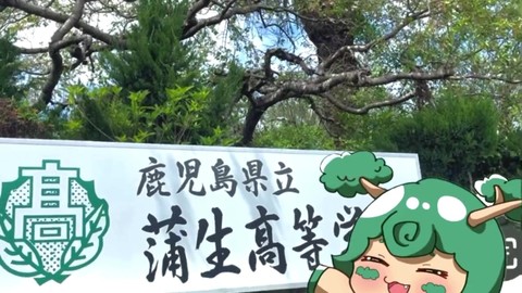 １分動画
